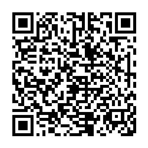 一身严谨而略显古板的职业装的女子伸手推了一下自己鼻梁上的厚厚的大框眼镜二维码生成