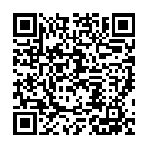一身医术却没办法拯救自己――这种生活实在是太痛苦了二维码生成