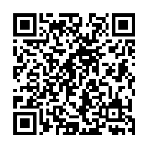 一身血衣仙袍的许逊背靠着一颗开满桃花的仙树睡着看了二维码生成
