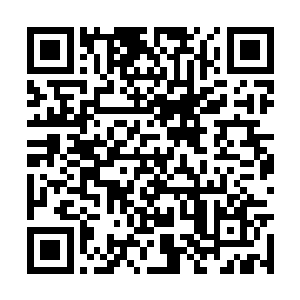 一车人都有点专注的看着外面璀璨夺目的荒漠明珠二维码生成