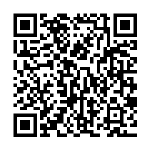 一转身便直接推开了那破旧的木门开始疯狂的顺着楼梯往上跑二维码生成