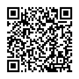 一轮轮加价随着拍卖师张翰的喊声在不停地重复二维码生成