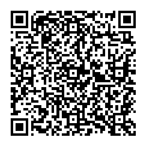 一辆的士停在了没随着韩天秦舍友进入学校此刻立在校门口的我和王浩文以及韩天秦和赖越京身边二维码生成