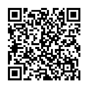 一辆皮卡车的车斗里装着一架体型明显比人还高大的武器二维码生成