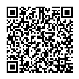 一边又在絮叨着他的炼丹术好像要有进益了……木萦早已习惯这样的任晰二维码生成