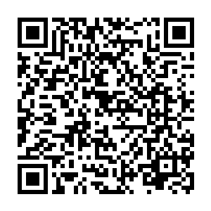 一边就看到被罗小柔完全忽视的顾致衡正用恼怒的眼眸直盯着她们两个看二维码生成