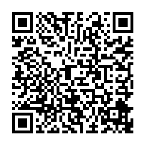 一边很有兴趣的执行这最后一个阶段的赛程一边跟主办方讨论下一届的续约二维码生成