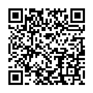 一边忙碌一边时不时瞧上一眼正在用膳的李澈和刘萱二维码生成