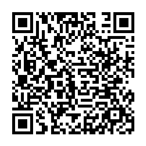 一边的杨啸天见到杨戬这么一会儿的时间竟然再一次收服了一个强大的手下二维码生成