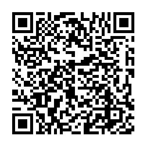 一边给楚暮护法的同时也一边整理自己在世界本源当中的参悟所得二维码生成