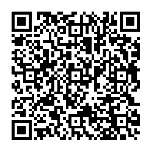 一边还要将手不断的从想缠住我的藤子中扯出来去拨往嘴里伸和往眼眶里戳的藤子二维码生成