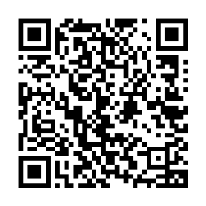 一连串的血色数字在大棕熊脑门上飘荡而过……随之消失不见了二维码生成
