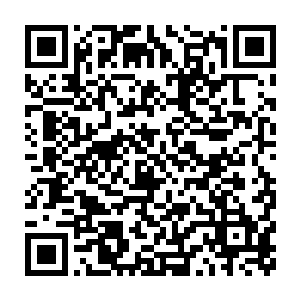 一道不属于刚刚出现在这房间里任何一人的声音忽然出现在房间内二维码生成
