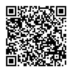 一道凝聚得如同实体一般的黑红剑光便从愤怒手中的曼殊沙华之剑上激荡而出二维码生成