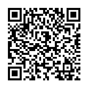 一道洪亮的声音穿透重重阻碍从外面清晰的传了进来二维码生成