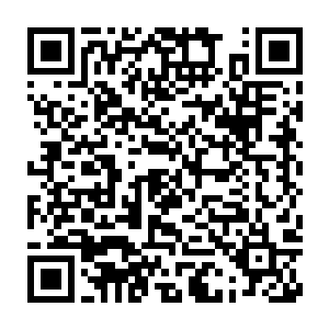 一道淡蓝色的水幕出现在了他们的前方……正好起到一个隔绝的作用二维码生成