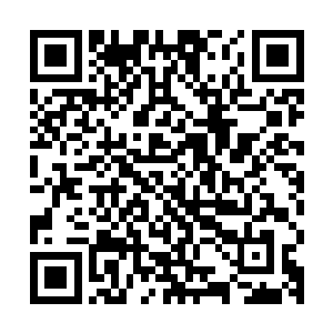 一道道可怕的能量波动与林辰渗入进去的灵气相互碰撞在了一起二维码生成