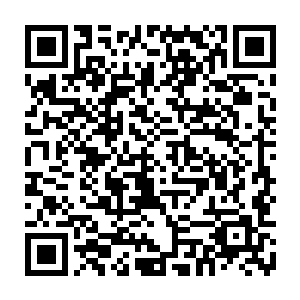 一道道坚硬锋锐的血沙和一股股森冷无比的血霜也邹然从两人拳锋上激荡而出二维码生成