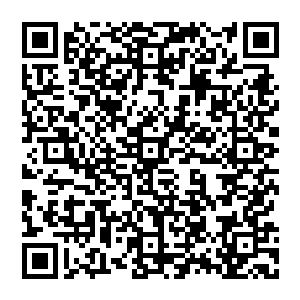 一道道血红sè的光晕不断的冲击着寒雨仙帝的金sè的护罩瞬间金sè的护罩上面也是开始渐渐的变淡二维码生成