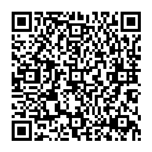 一部分学生是参加过有道集团和尚动俱乐部冠名举办出资支持的各类体育比赛和文艺活动二维码生成