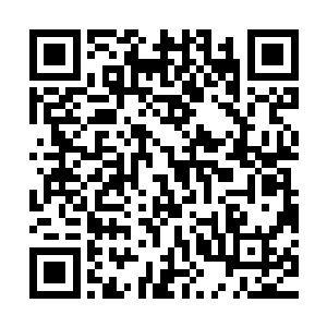 一队从冀州刚赶回的商队的几个小世家的人正在帐篷下乘凉歇息二维码生成