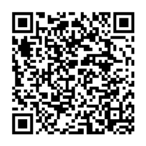 一队比曾毅的钦差卫队及仪仗队还要长上一倍的长龙在官道上快速前行二维码生成
