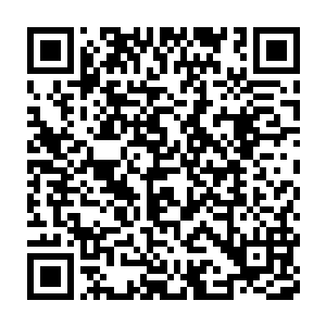 一阵阵蕴含着可怕力量的无定神风也随着这无定神风扇的挥动而涌现二维码生成