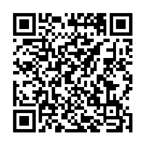 一面听着刘飞不断介绍着这盆花草的价值和药用方面的知识二维码生成