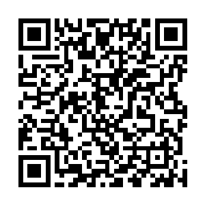 一颗布满了神秘符文的珠子正在莲华状的大盆之中转动着二维码生成