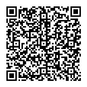 一颗平静的心在此时忽然狂跳起來 平静的血脉也是翻滚不休 而那沉睡的赢勾精血也出现了一丝轻微的颤抖二维码生成