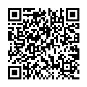 一颗缩小了无数倍的长青神树在杨开身后浮现出来二维码生成