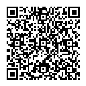 一颗颗硕大的散发出一道道亘古蛮荒气息的巨大的星辰也是出现在了在龙傲天几个人的上空二维码生成