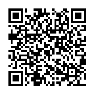 丁羽也会详细的跟家属解释一下其中的原因和状况二维码生成