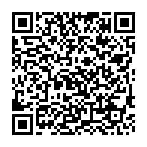 七八条疯狂的树藤触手在巨型饿鬼精的右边手臂处狠狠的缠绕了几圈二维码生成