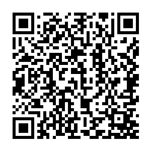 万一发现了什么珍贵的天材地宝他还是不介意稍微停顿一下采集过来二维码生成