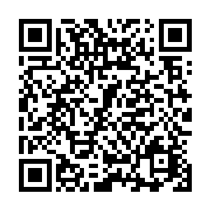 万一在荷尔蒙信息素散发峰值的时候被林子里的猴子看到了二维码生成