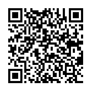 万万没想到一个普通的凡女可以抵挡他们的意识催眠二维码生成