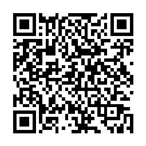 万妖宗都要给洞里的符文巨兽贡献一股极为精粹的灵气精华二维码生成