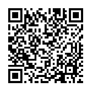 万家梁安排人对昨天晚上出现在上林村的一帮陌生人展开了调查二维码生成