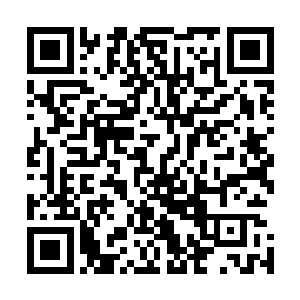 万法归宗和星云圣地还有揽月门三个门派占据的是九十四号二维码生成