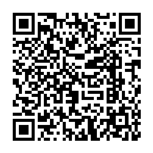 万灵塔所能生成的大荒印契的数量和能作用生物的等级都会相应的增加二维码生成