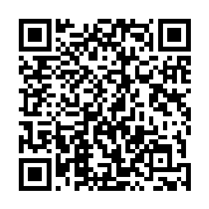 万蛇等存在要在对方的生命树计划彻底完成之前摧毁一切二维码生成