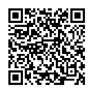 三五两下就已经把自己那条价格不菲的西裤连带羊绒裤袜和亵二维码生成