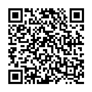 三千万级别的首映数据几乎已经预定了一个一亿票房席位二维码生成