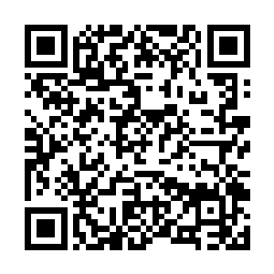 三叶残魂花和绝地枯木草的药效浮现在杨开的脑海中二维码生成