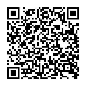 三大域的巨擘实力和四荒实力以及一些侥幸的三荒实力已经迁徙到了中域二维码生成