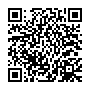 三大派宗主冷眼旁观无极宗太上长老祝离殇震慑住清华门修士二维码生成