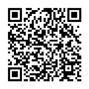 三大神系的残余力量终于彻底抛却成见完全我成了一只拳头二维码生成