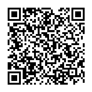 三天前他们得知竟然会让他们护送凤血石的时候已经昏厥过一次了二维码生成