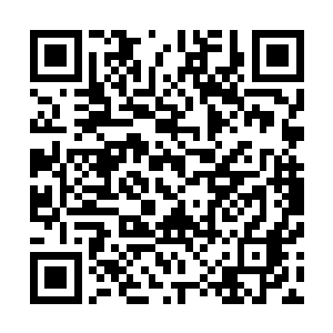 三天后我们星辰拍卖行会在小魁星举行一年一次大型拍卖会二维码生成